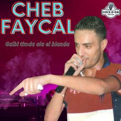 Cover of Galbi tkoda ala el blanda