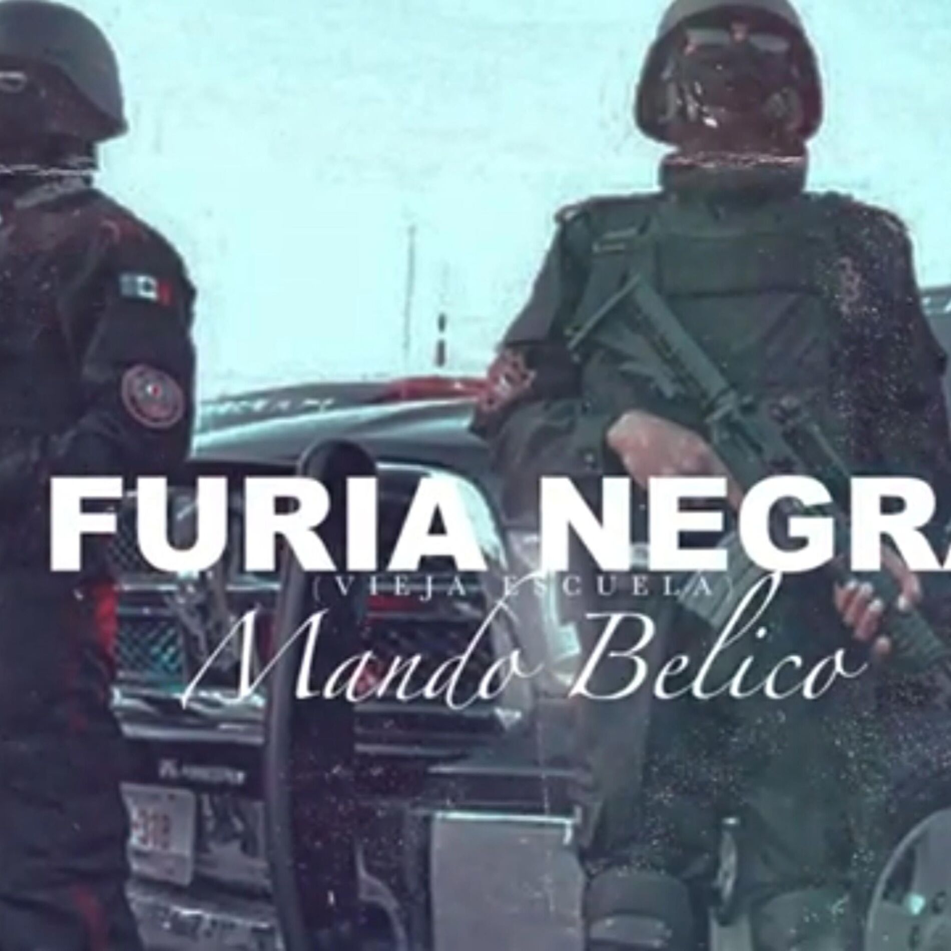 Album cover of Furia negra vieja escuela