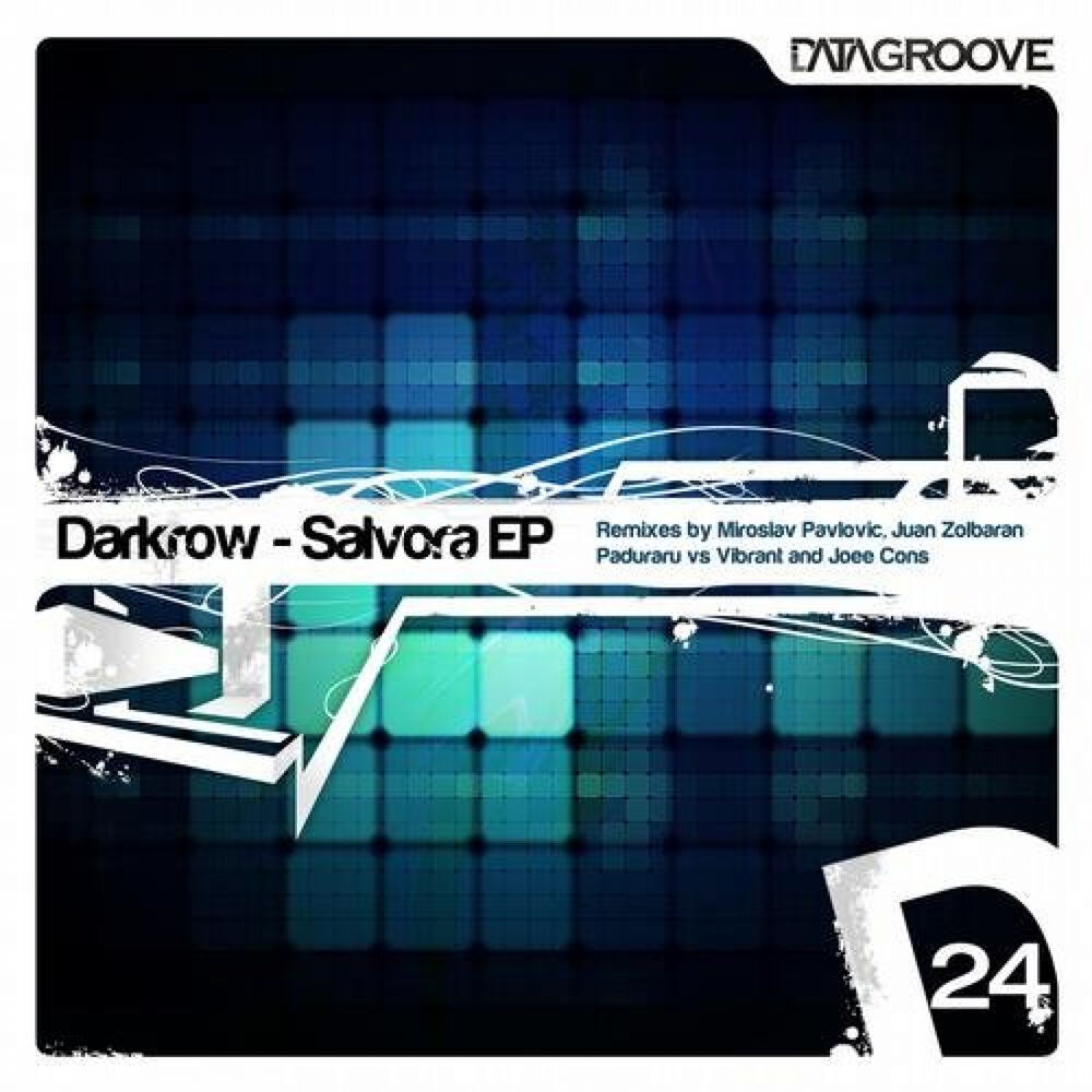 Picture of Salvora Remixes