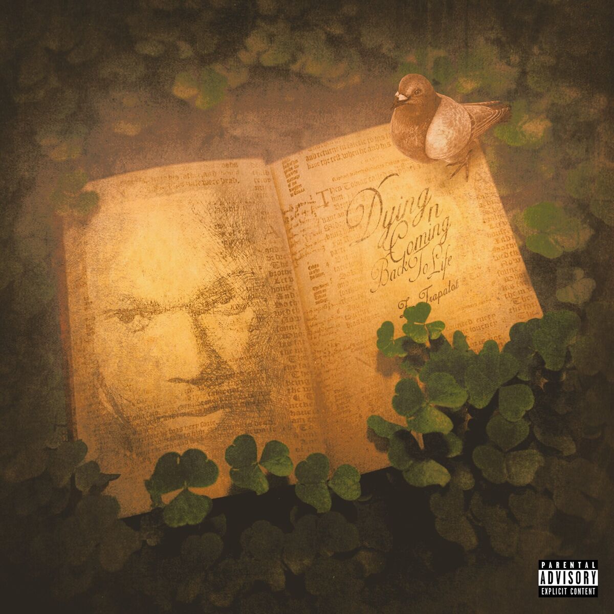 Album cover of Dying n Coming Back to Life