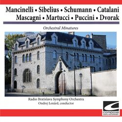 Cover of Orchestral Minatures