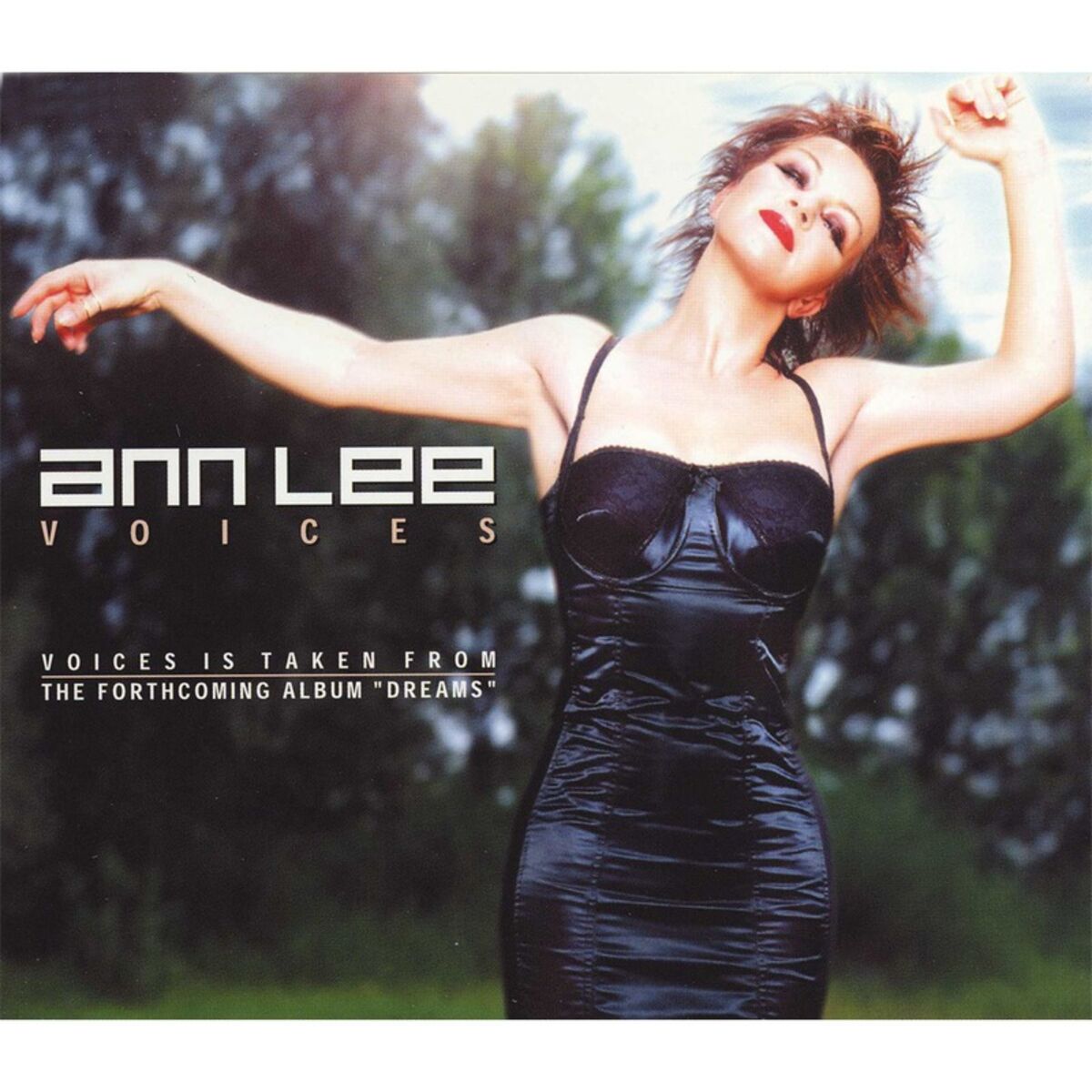 Album cover of Voices