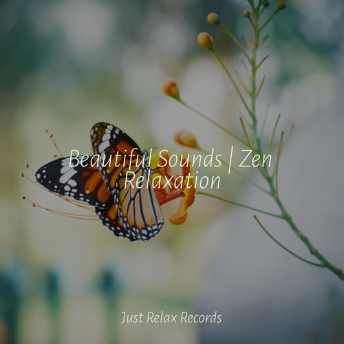 Beautiful Sounds | Zen Relaxation