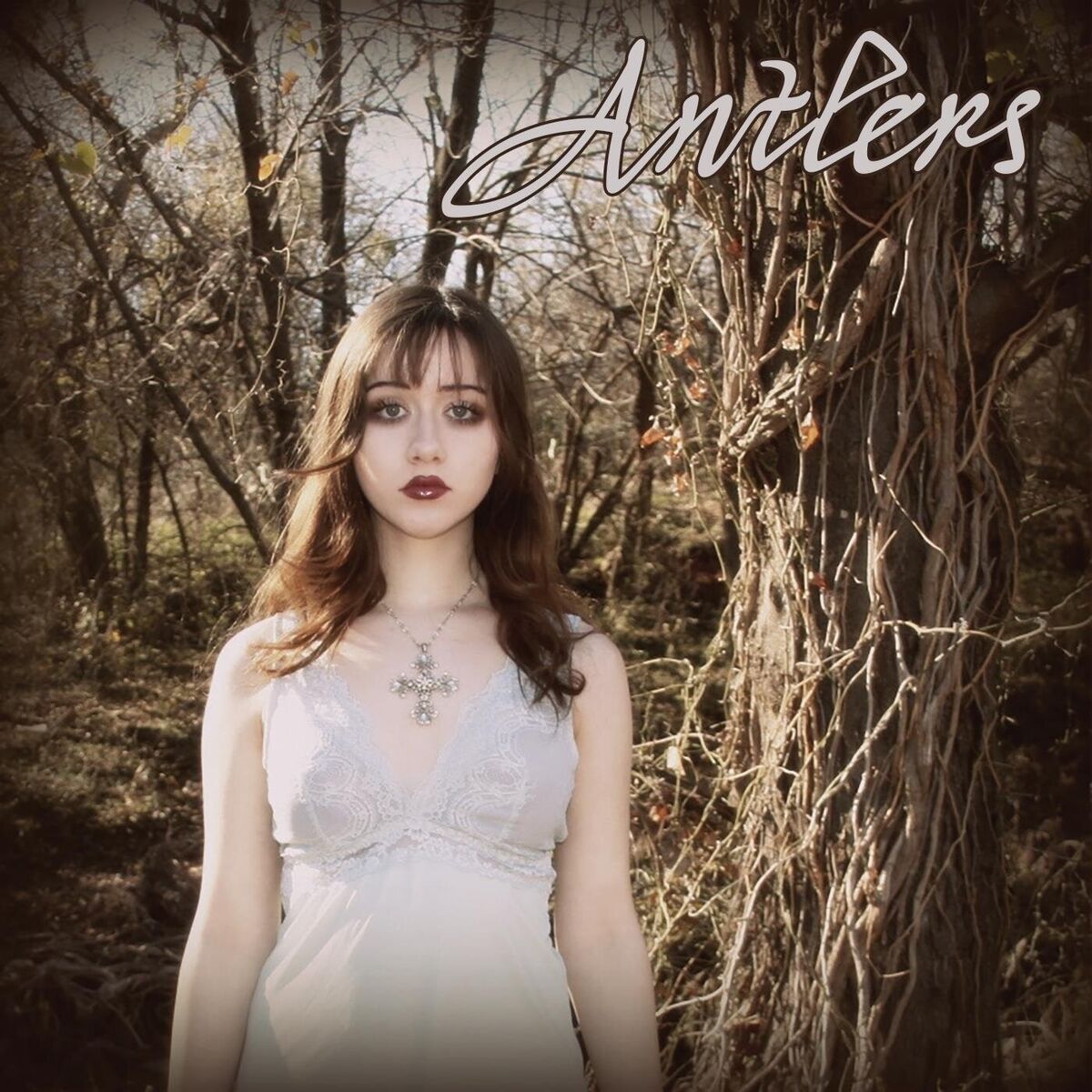 Album cover of Antlers