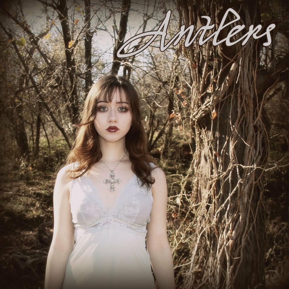 Album cover of Antlers