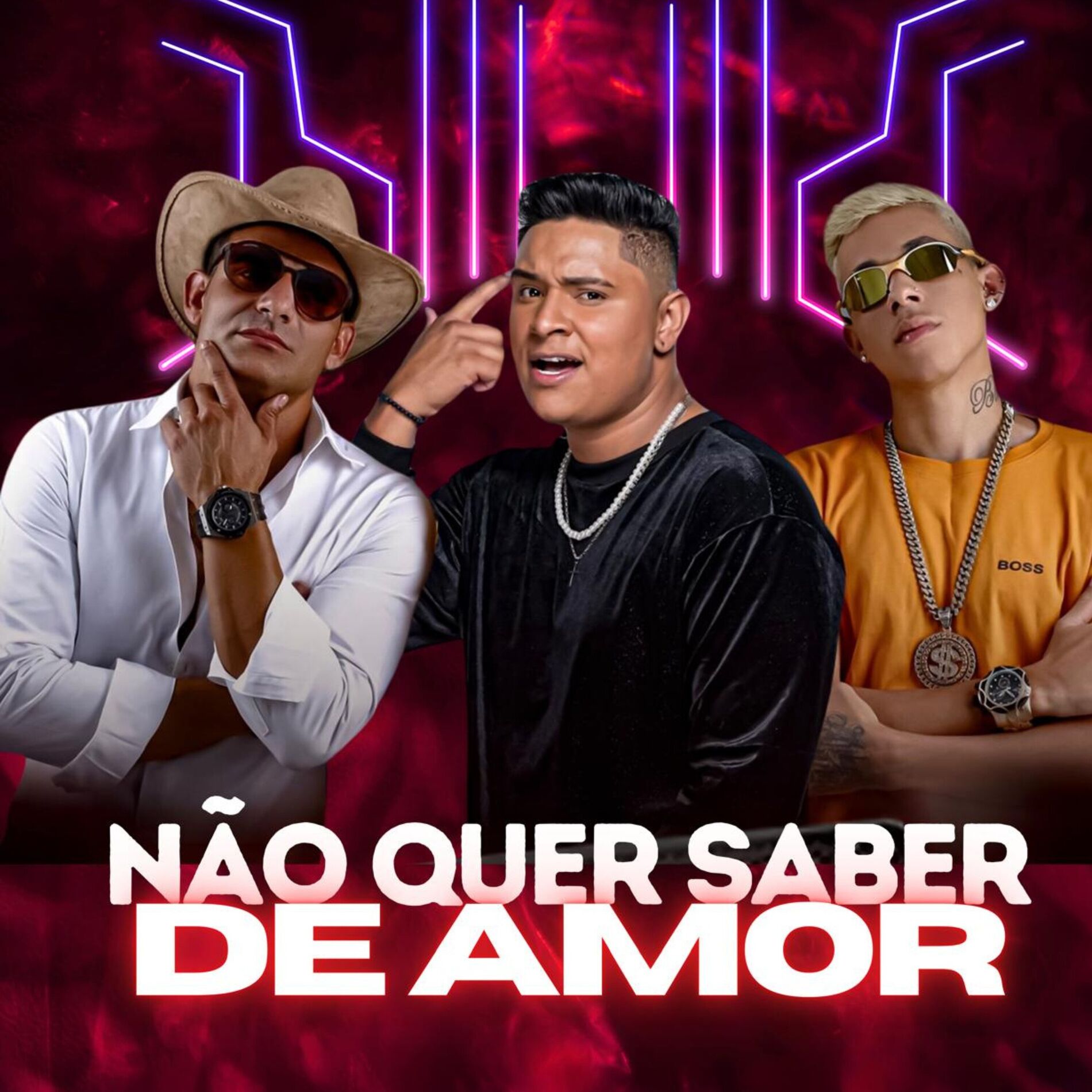 Album cover of Não Quer Saber de Amor