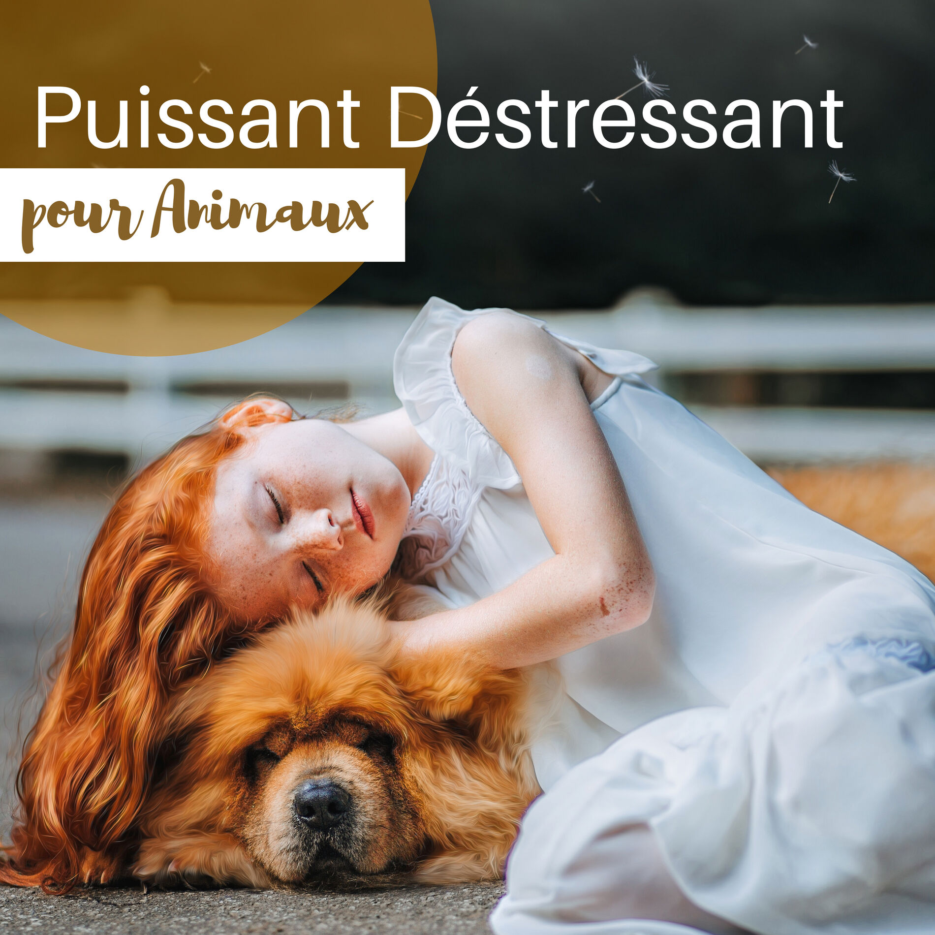Album cover of Petite blonde du bld brune - (Massage musique)