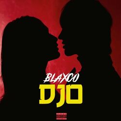Cover of Djo