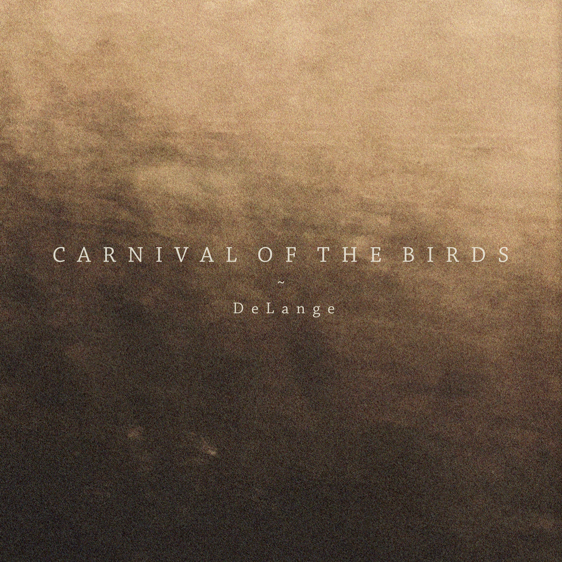 Album cover of Carnival Of The Birds