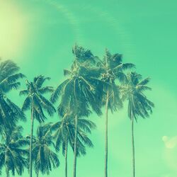 Cover of Backdrop for Winter Holidays - Easy Bossanova
