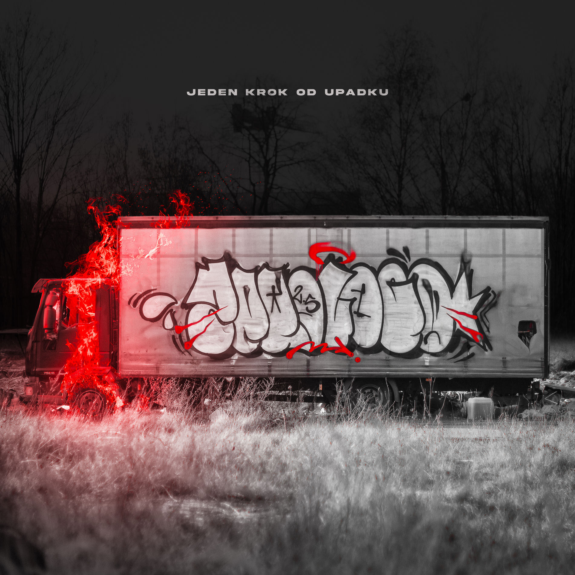 Album cover of JEDEN KROK OD UPADKU