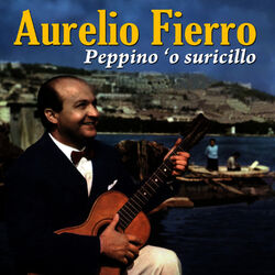 Cover of Peppino 'o suricillo