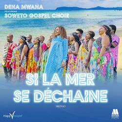 Cover of Si la mer se déchaîne (Remix)