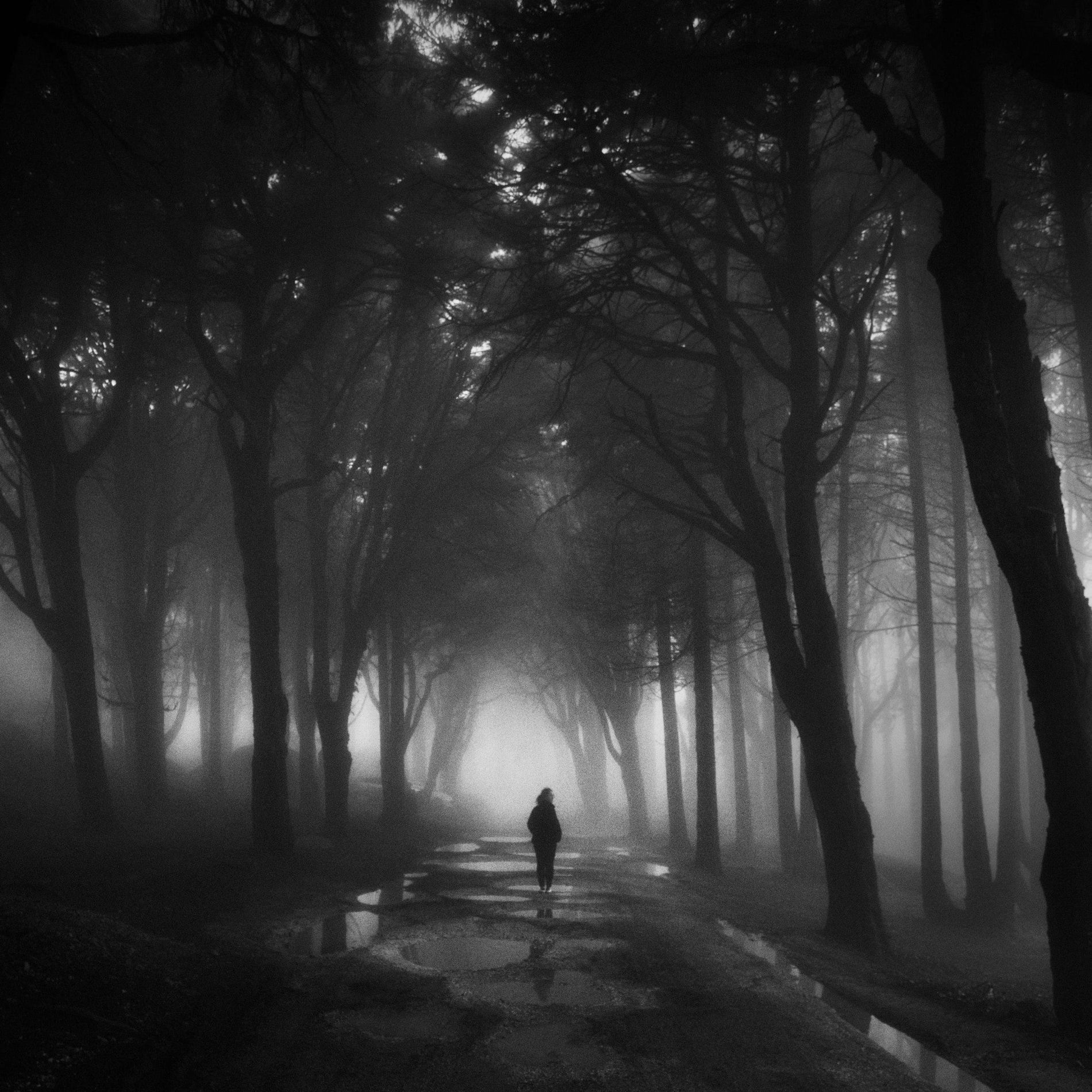 Album cover of Amour paternel