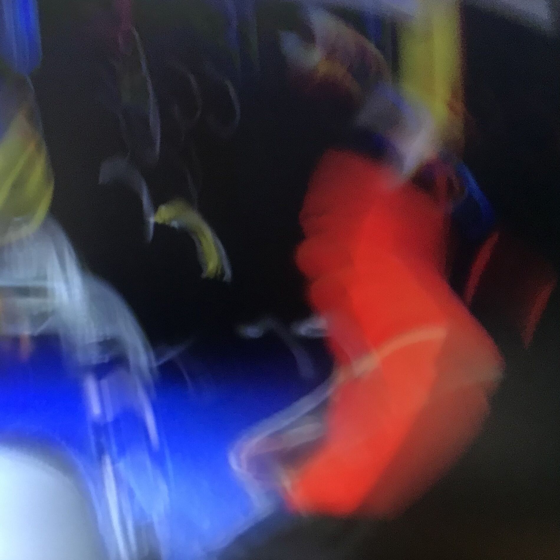 Album cover of Painted The Room