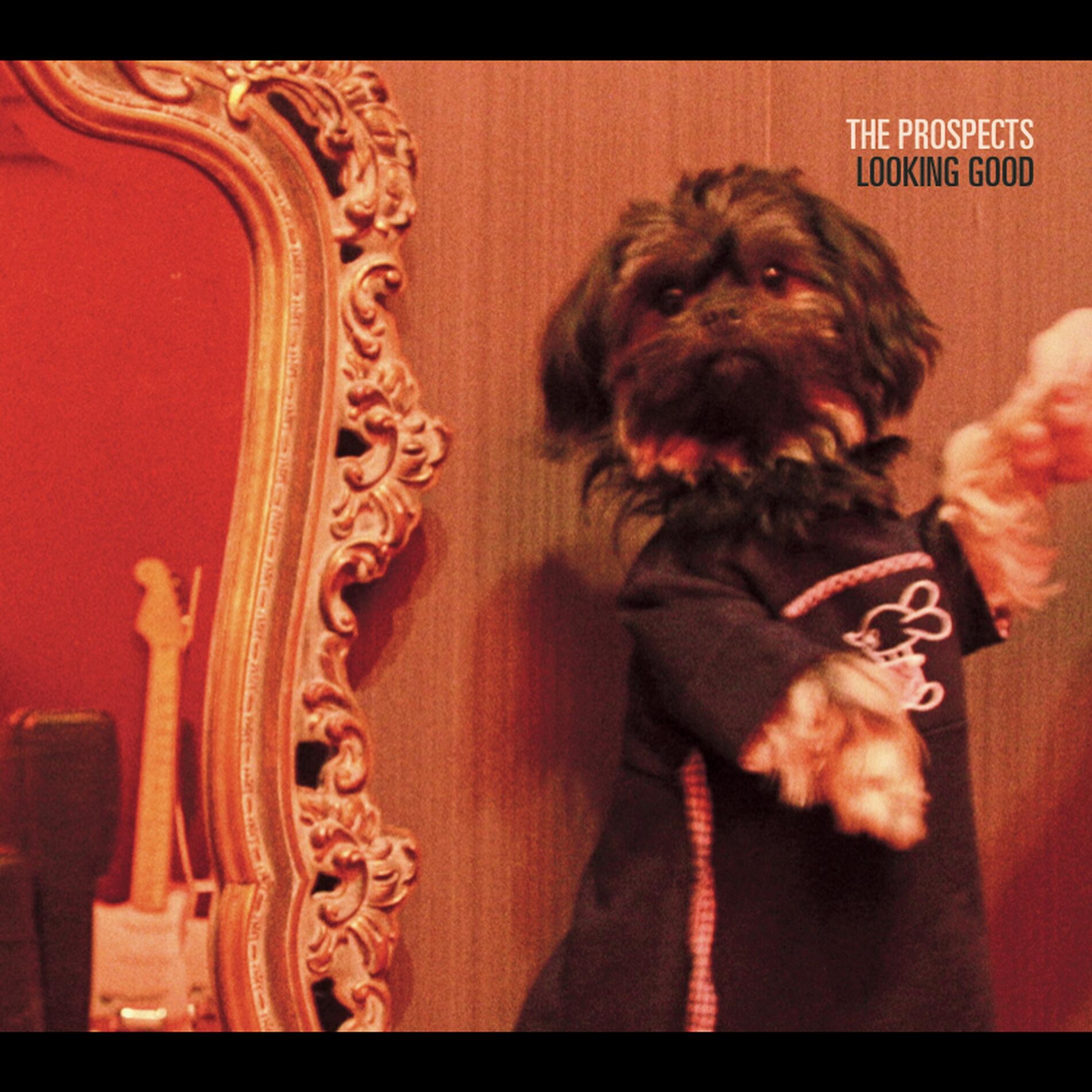 Album cover of What is Tomorrow