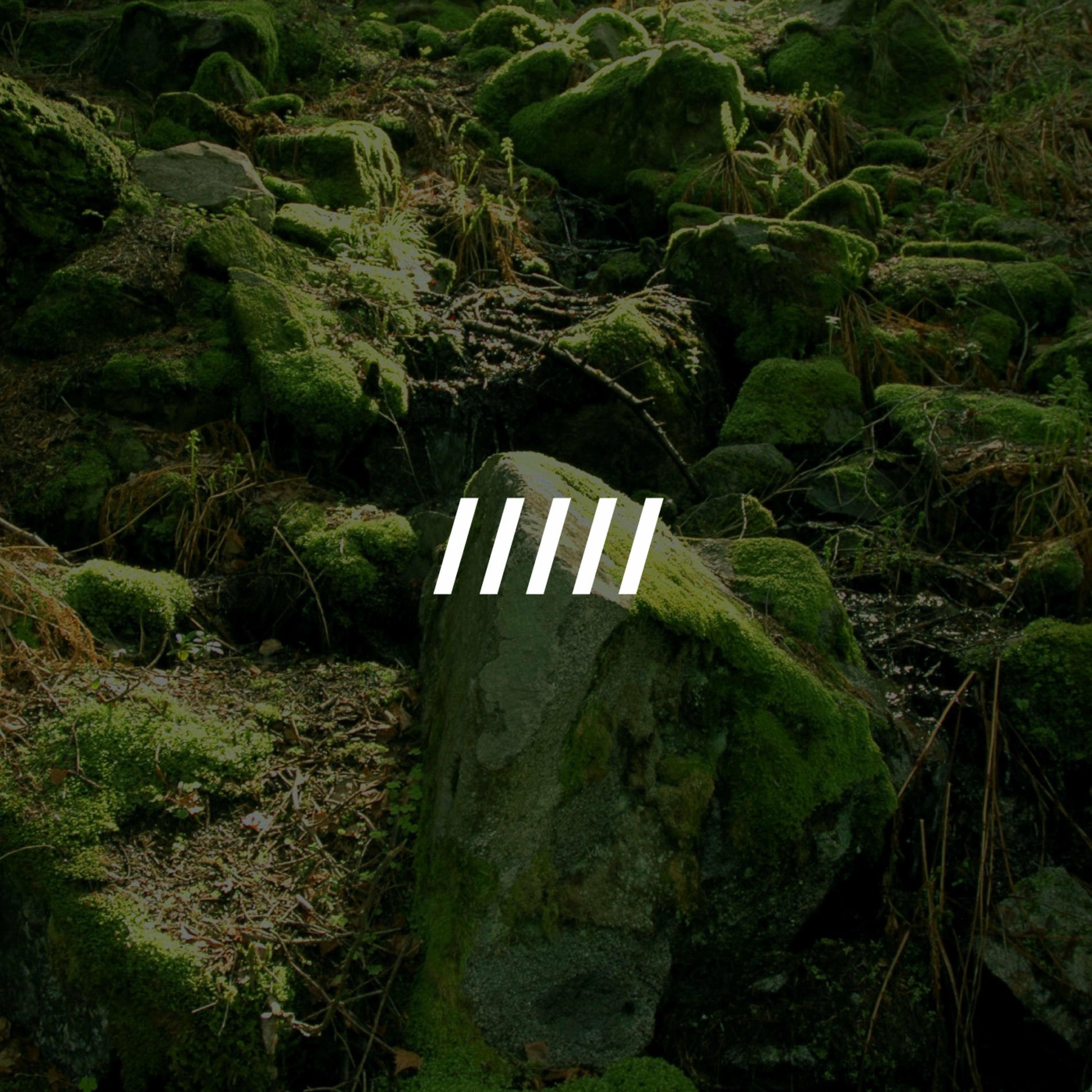 Album cover of Fragments of the Mosaic, Unfurled