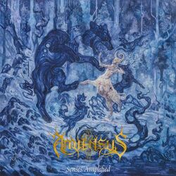 Cover of Senses Amplified