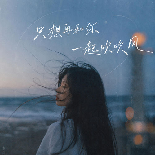 只想再和你一起吹吹风 (DJ版)