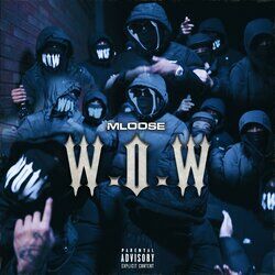 Cover of Wow