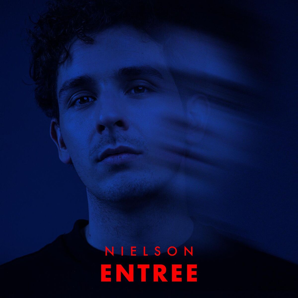 Album cover of Entree