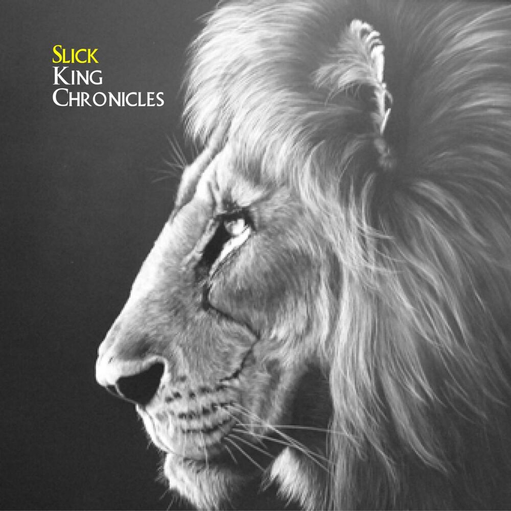 Picture of King Chronicles