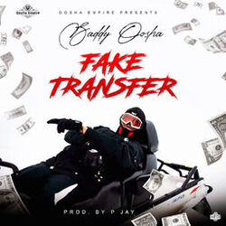 Cover of Fake Transfer