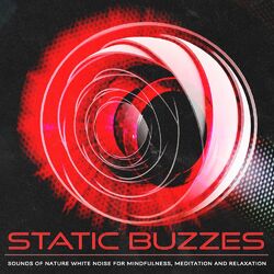 Cover of Static Buzzes