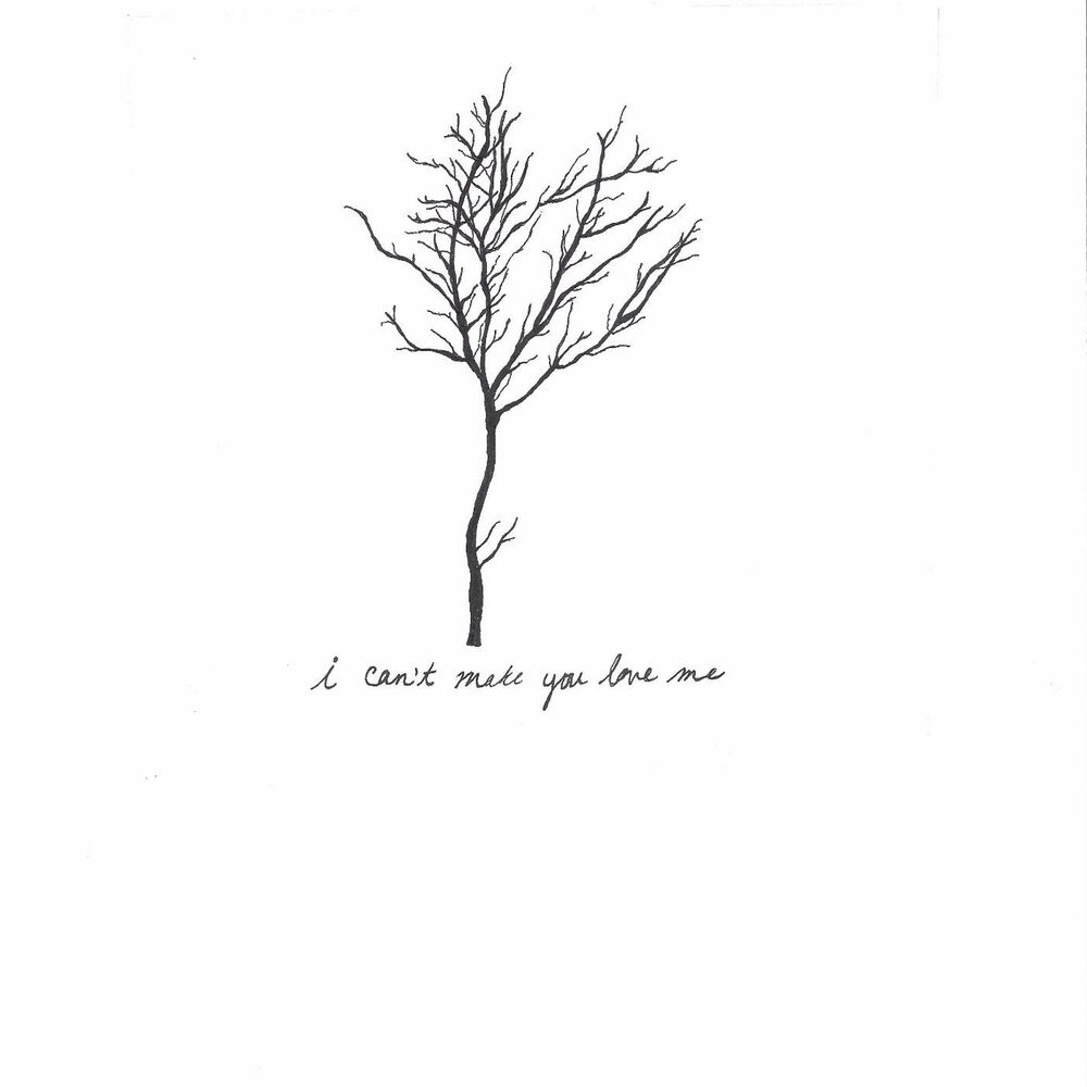 Picture of I Can't Make You Love Me