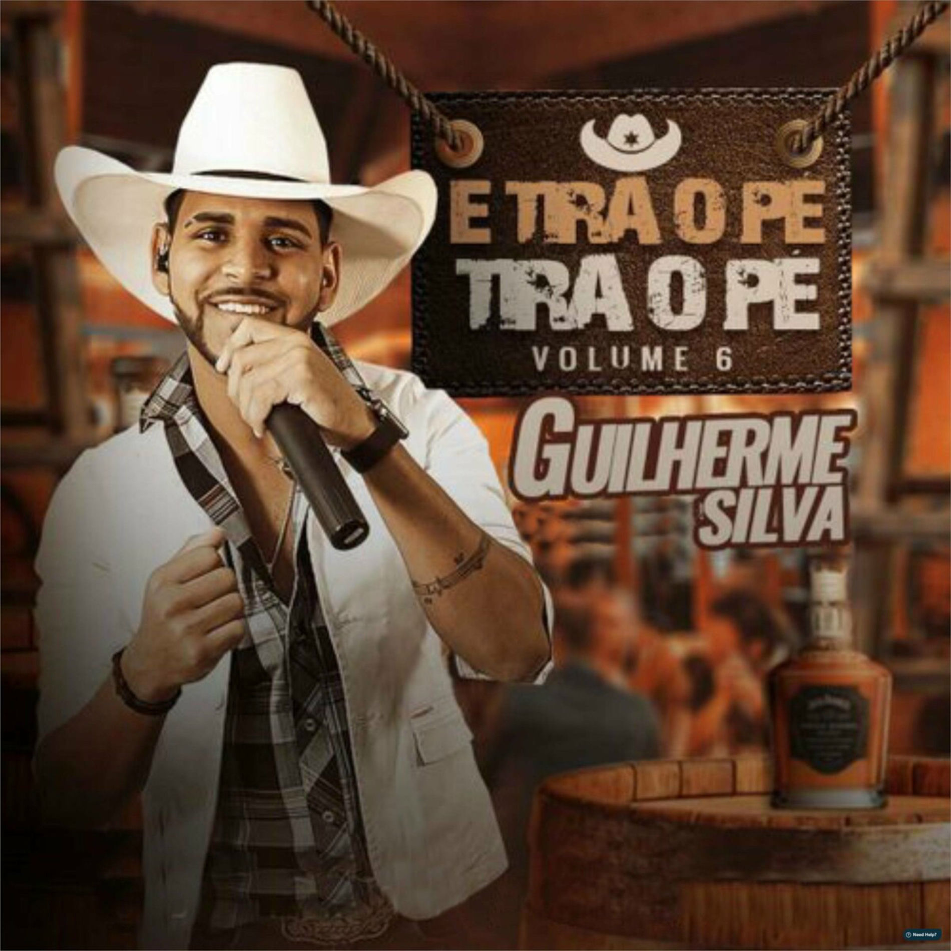 Album cover of Galera Traiada