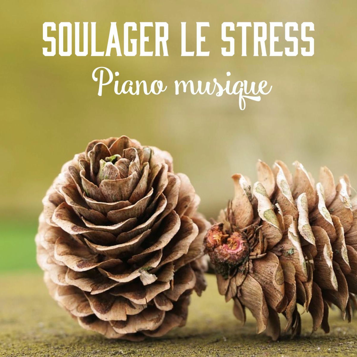 Album cover of Soulager le stress - Piano musique: Calme moment pour soi même (Vaincre anxiété, Anti stress et Relax)
