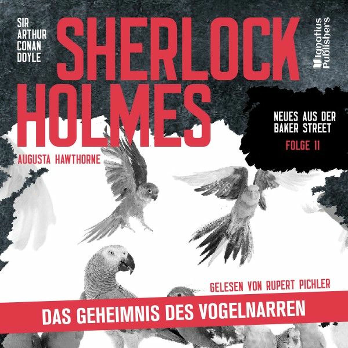 Album cover of Sherlock Holmes: Das Geheimnis des Vogelnarren (Neues aus der Baker Street, Folge 11)
