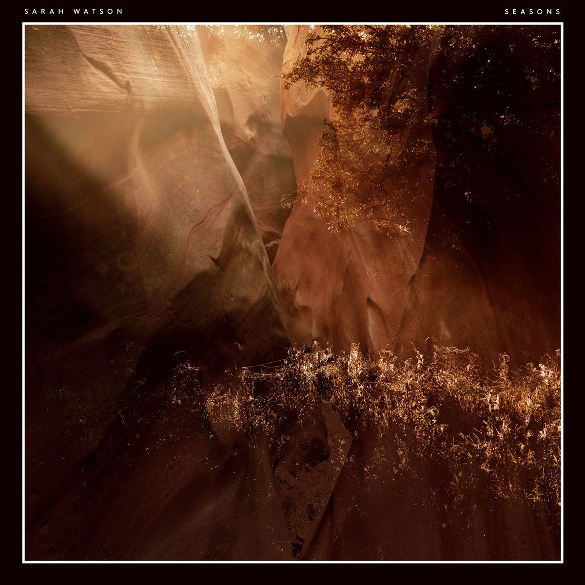 Album cover of Seasons