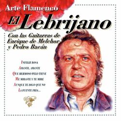 Cover of Arte Flamenco : El Lebrijano