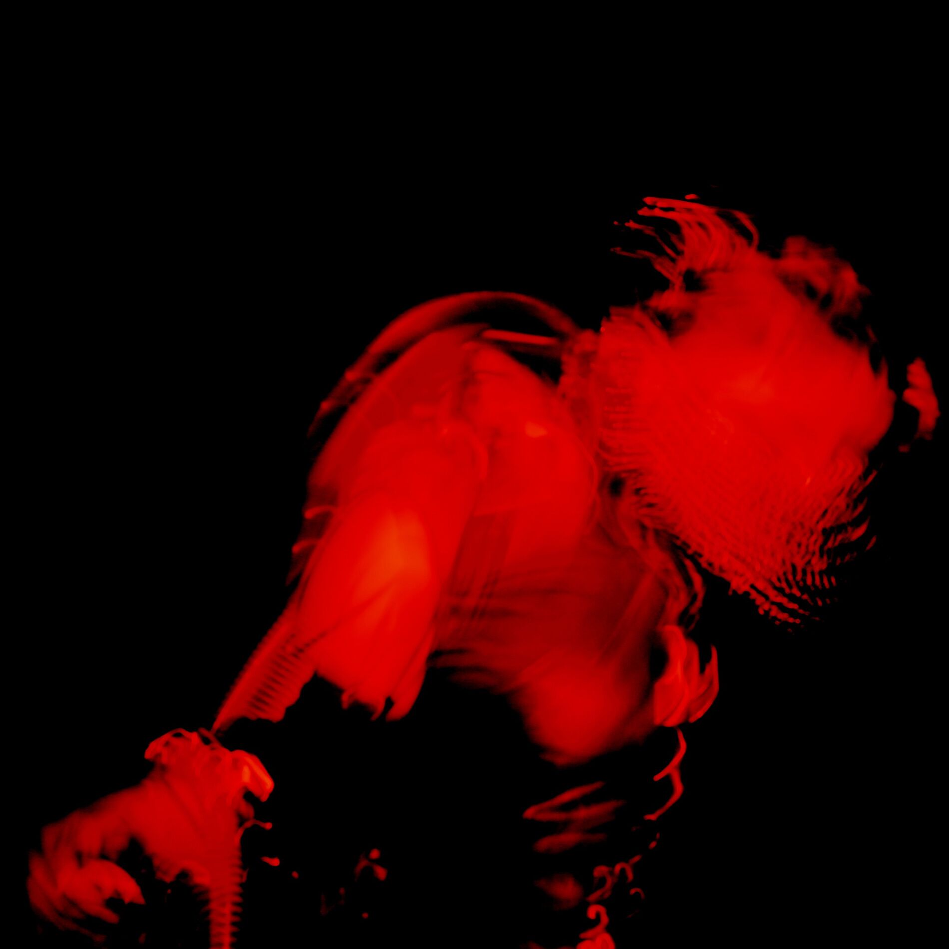Album cover of Demure
