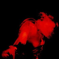 Cover of Demure