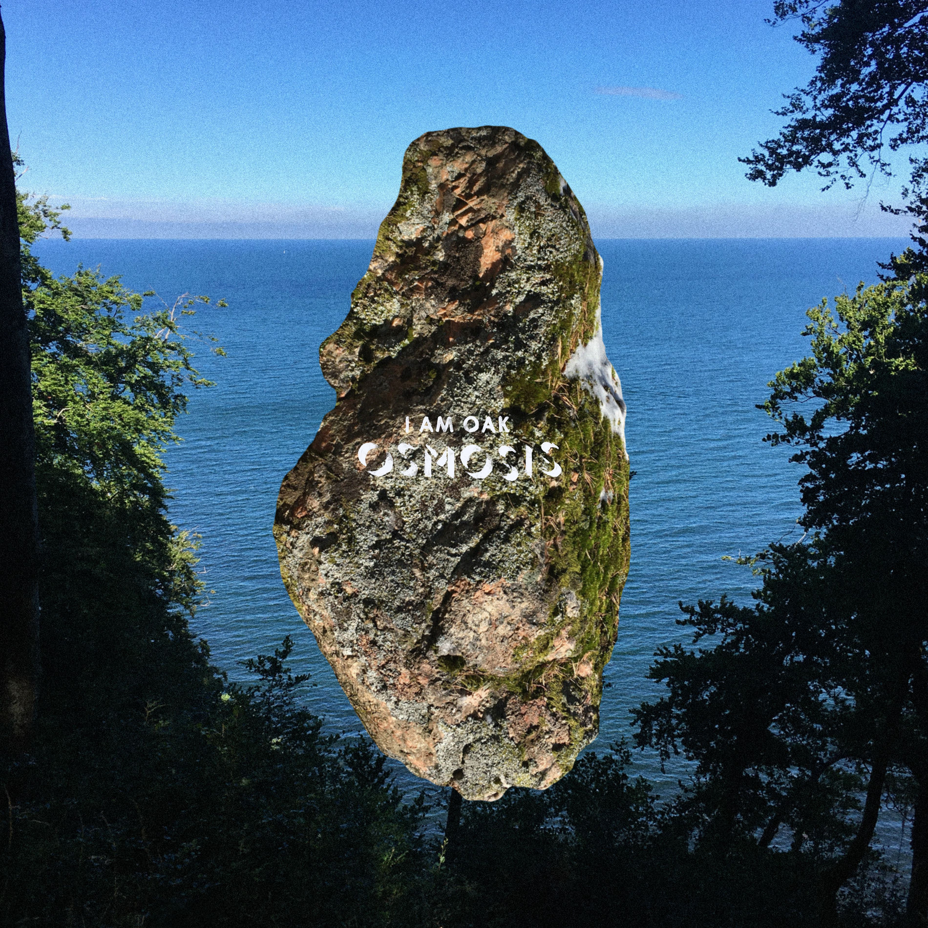 Album cover of Osmosis