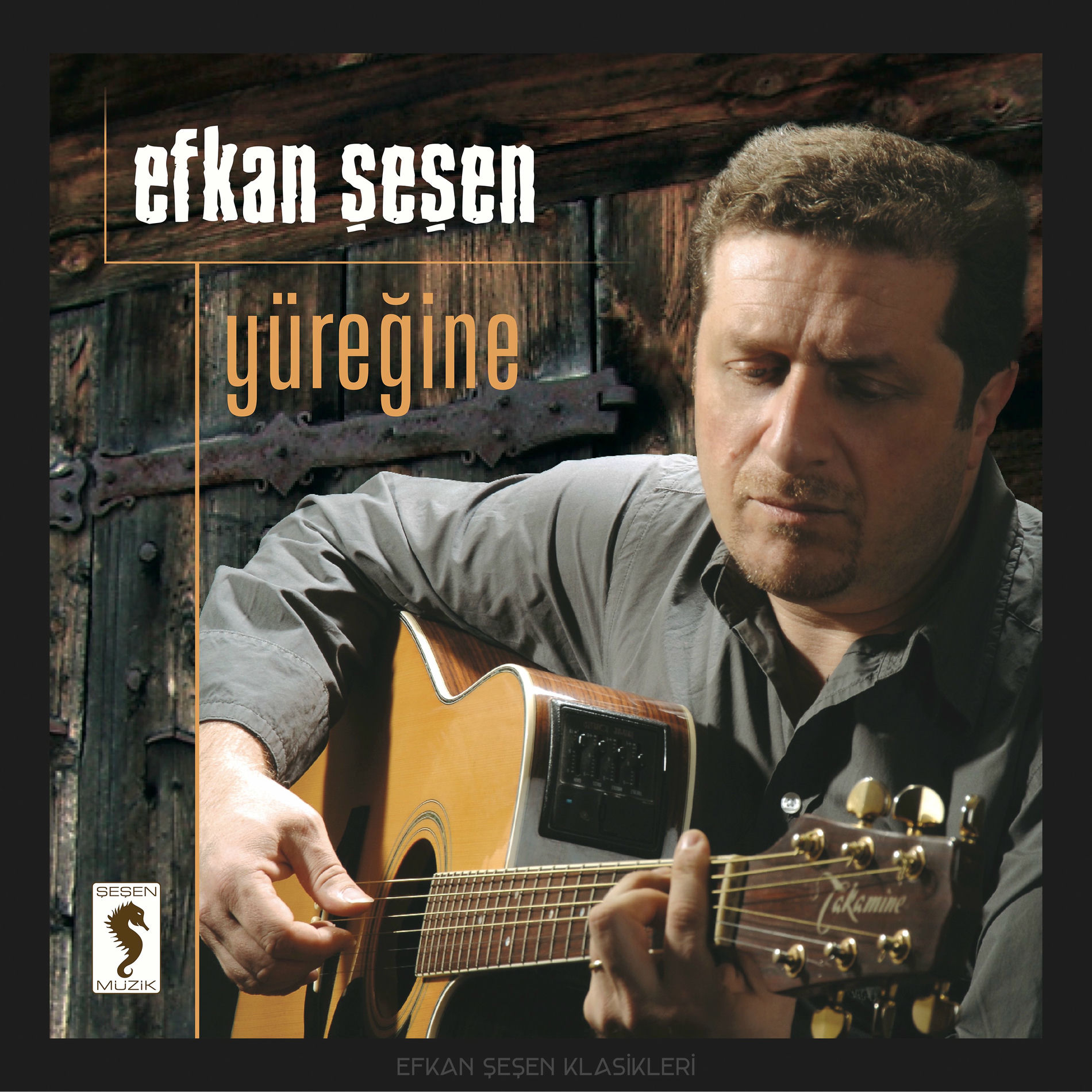 Album cover of Yüreğine