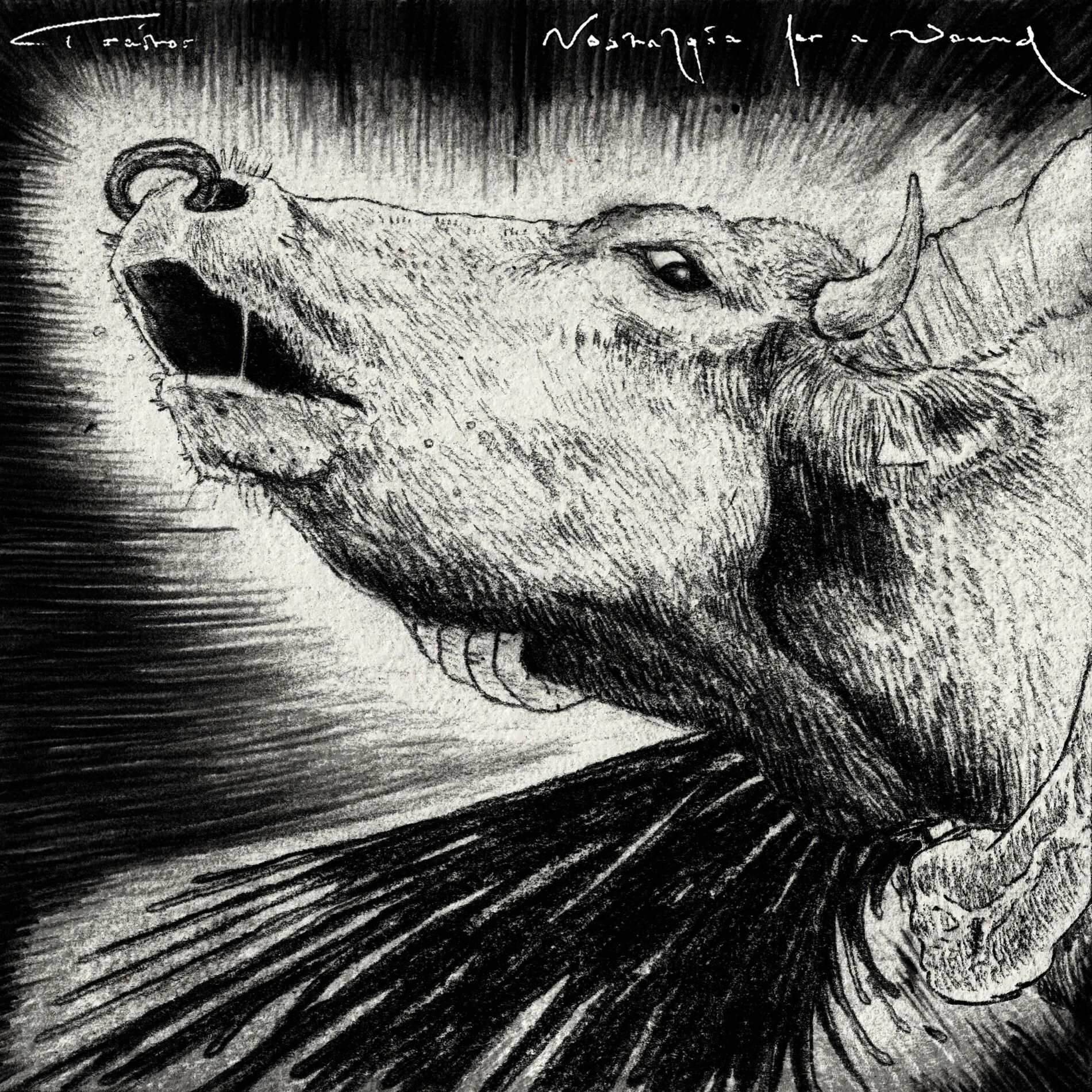 Album cover of Nostalgia for a Wound