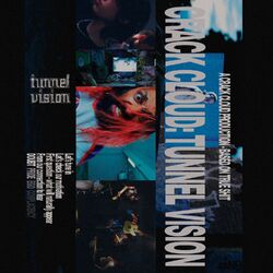 Cover of Tunnel Vision