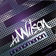 Shakedown (Original Mix) by Ali Wilson album cover