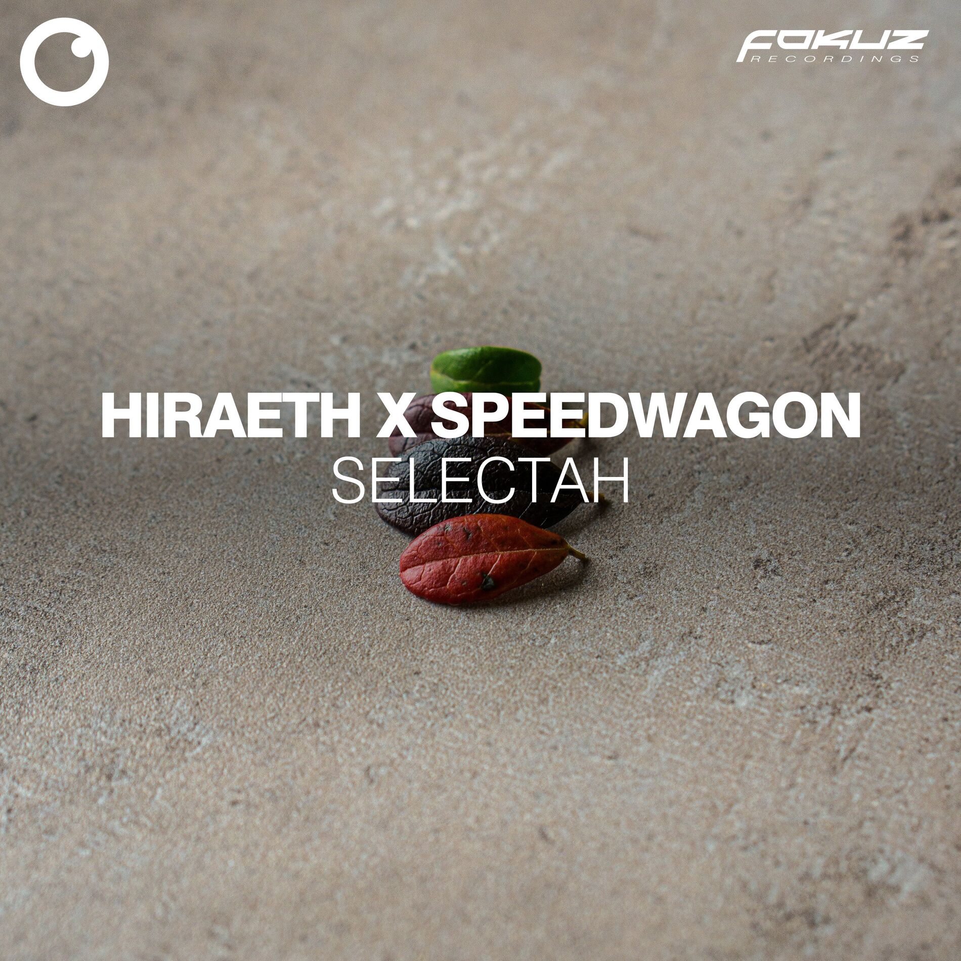 Album cover of Selectah