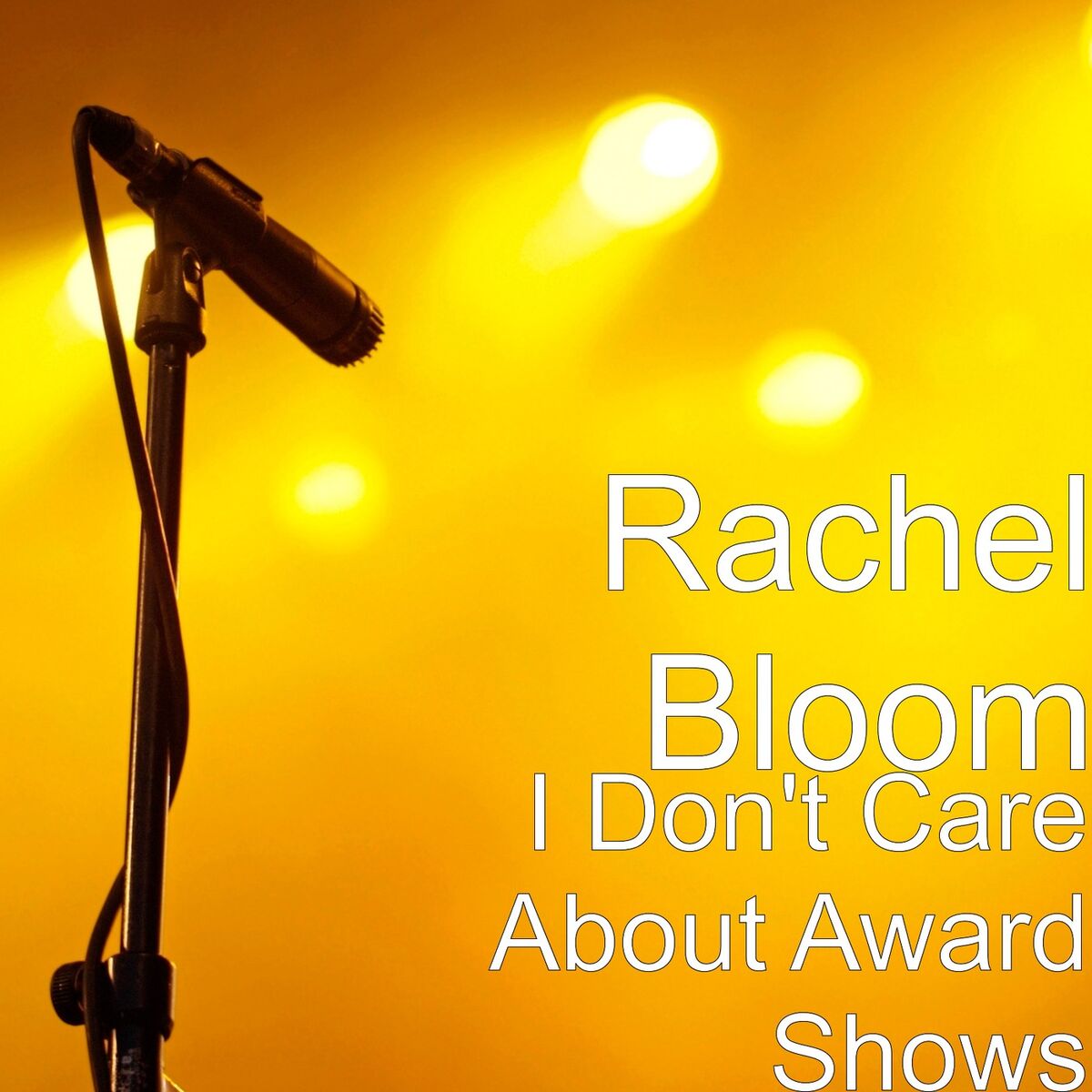 Album cover of I Don't Care About Award Shows