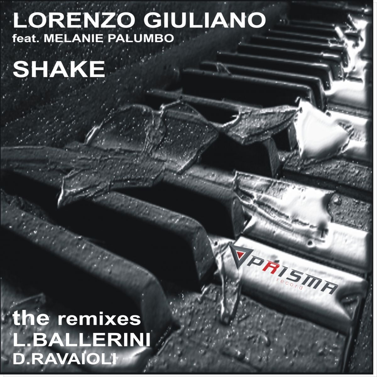 Album cover of Shake