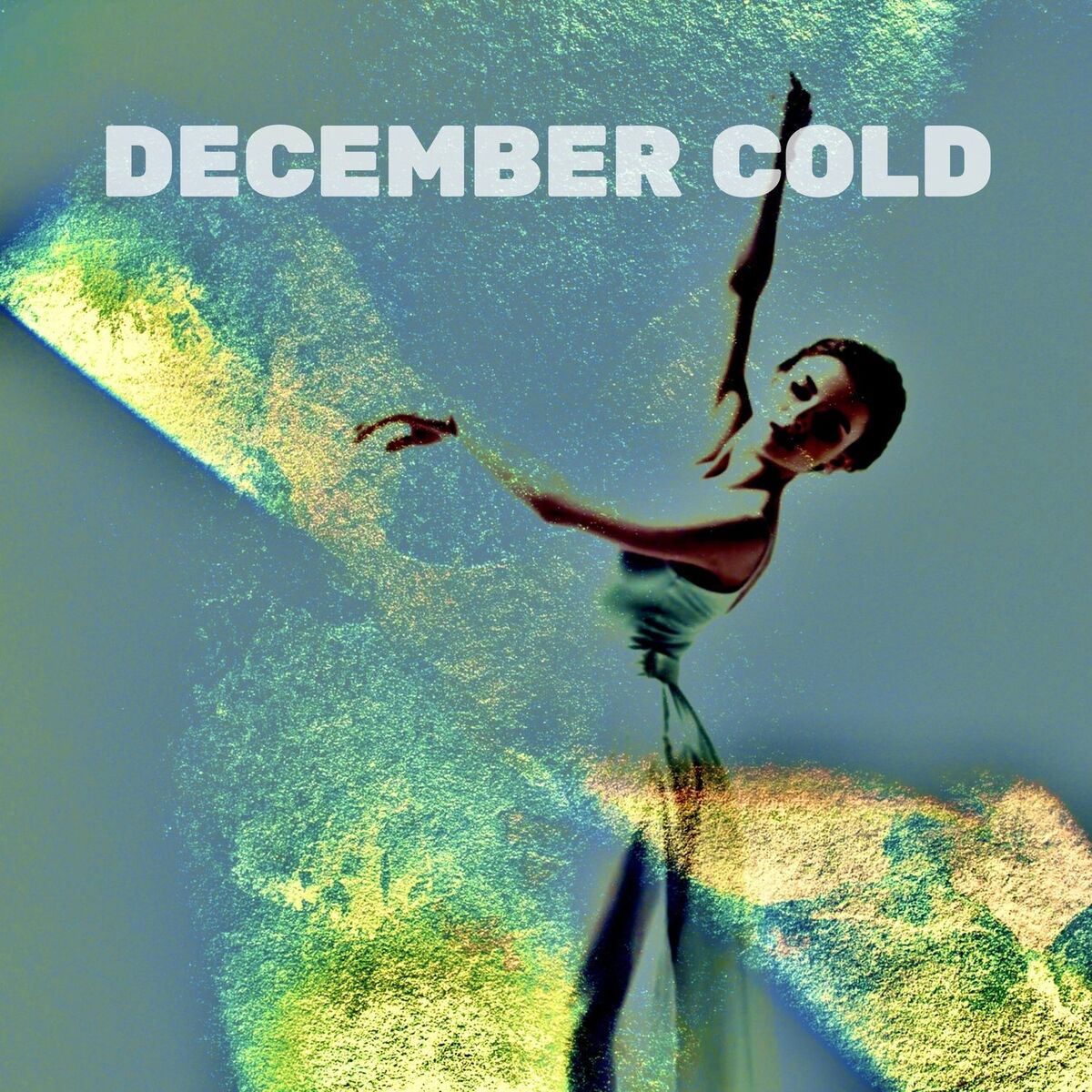 Album cover of December Cold