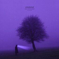 emotional (slowed + reverb)