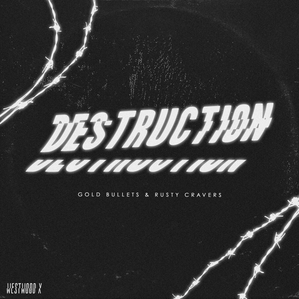 Picture of Destruction