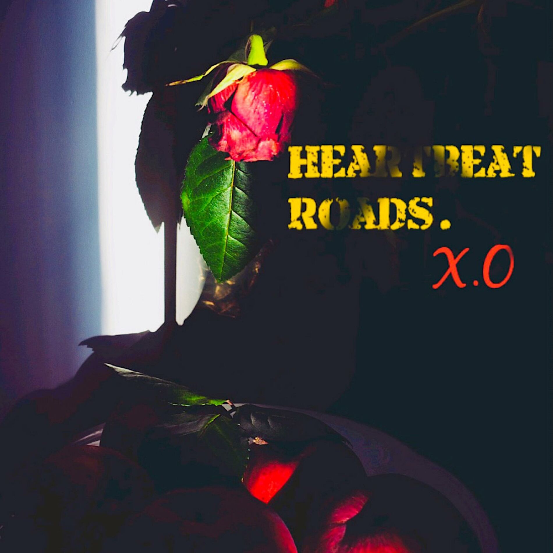 Album cover of HeartBeat Roads