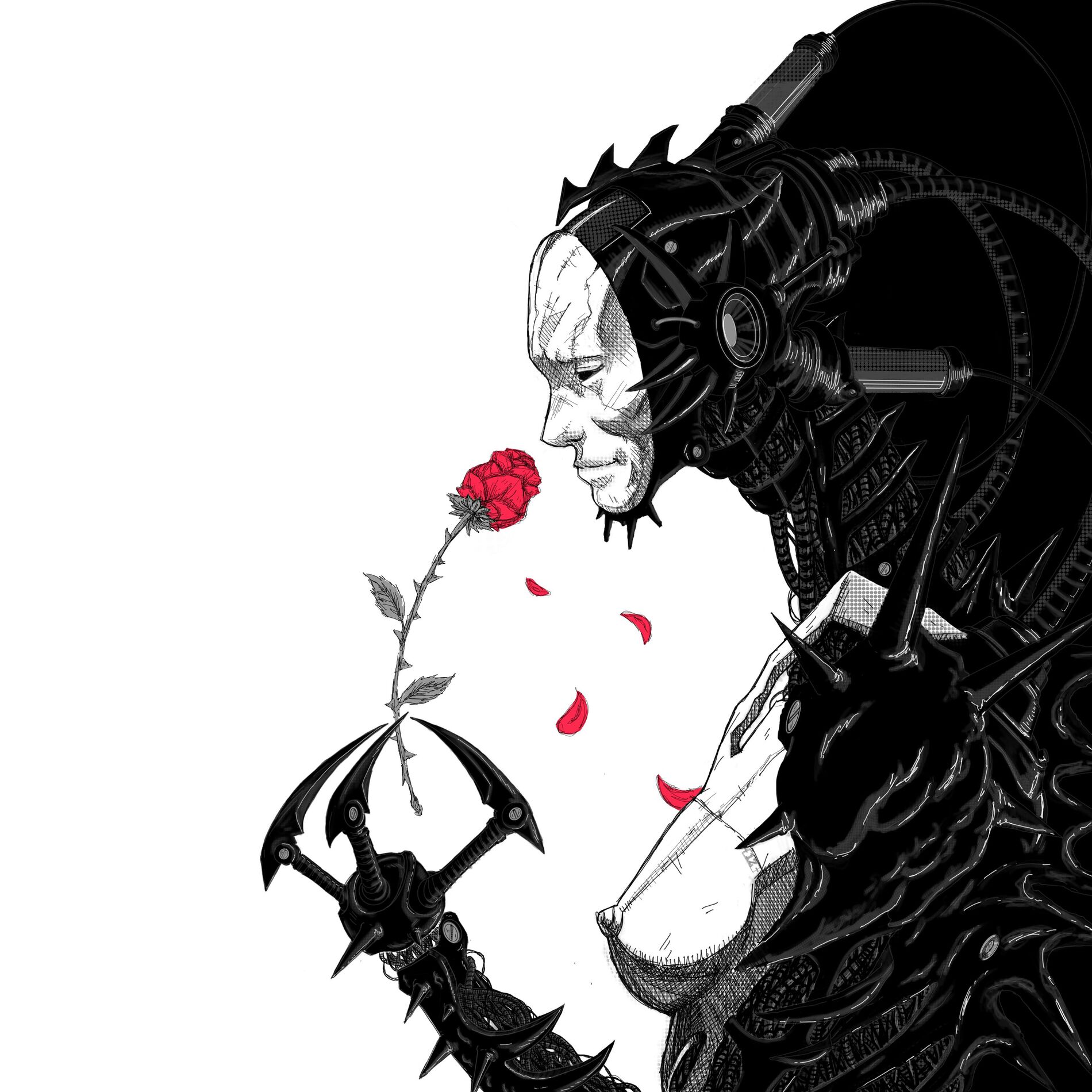 Album cover of THORN BETWEEN ROSES