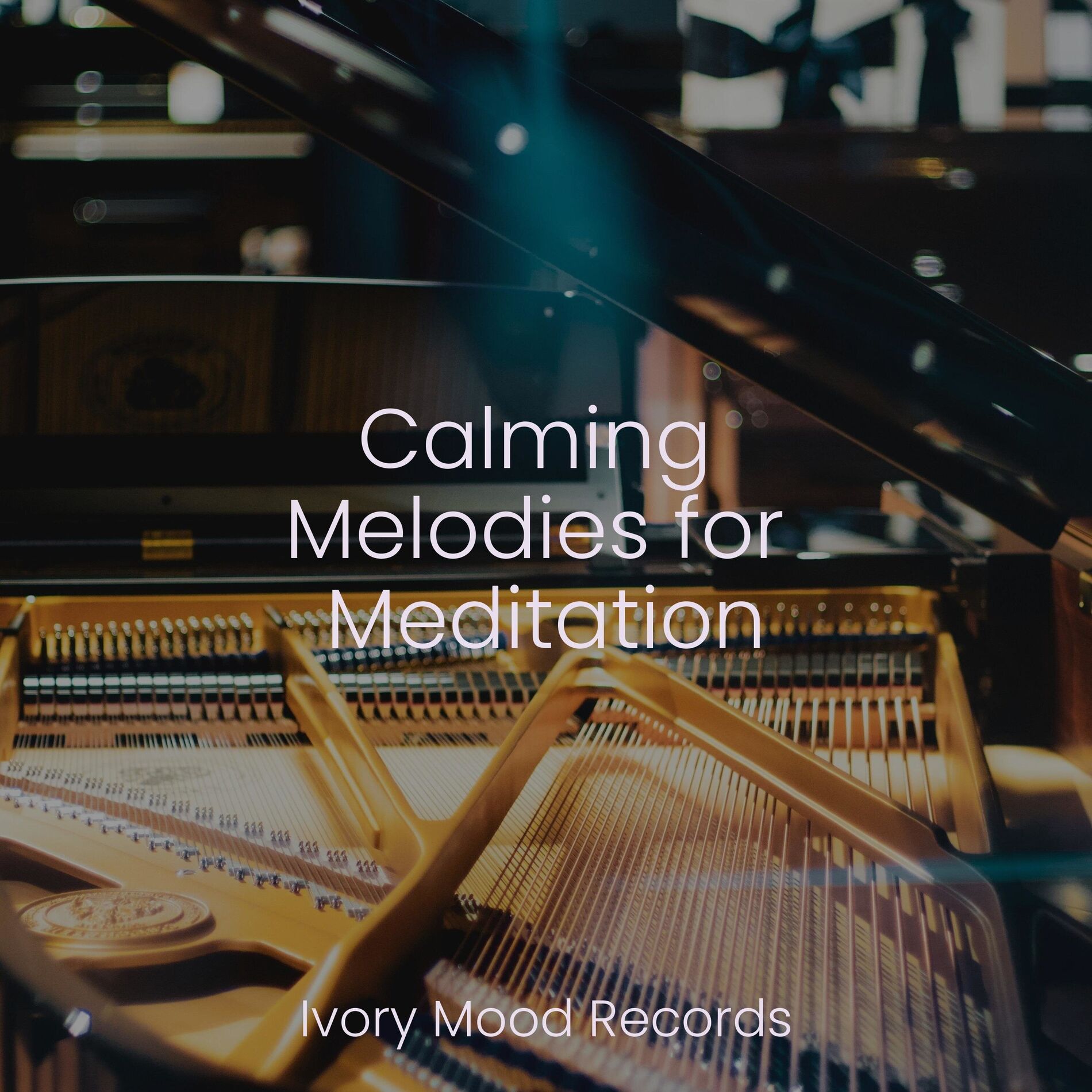 Album cover of Calming Melodies for Meditation